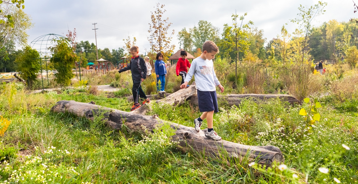 An image of young children playing in a field