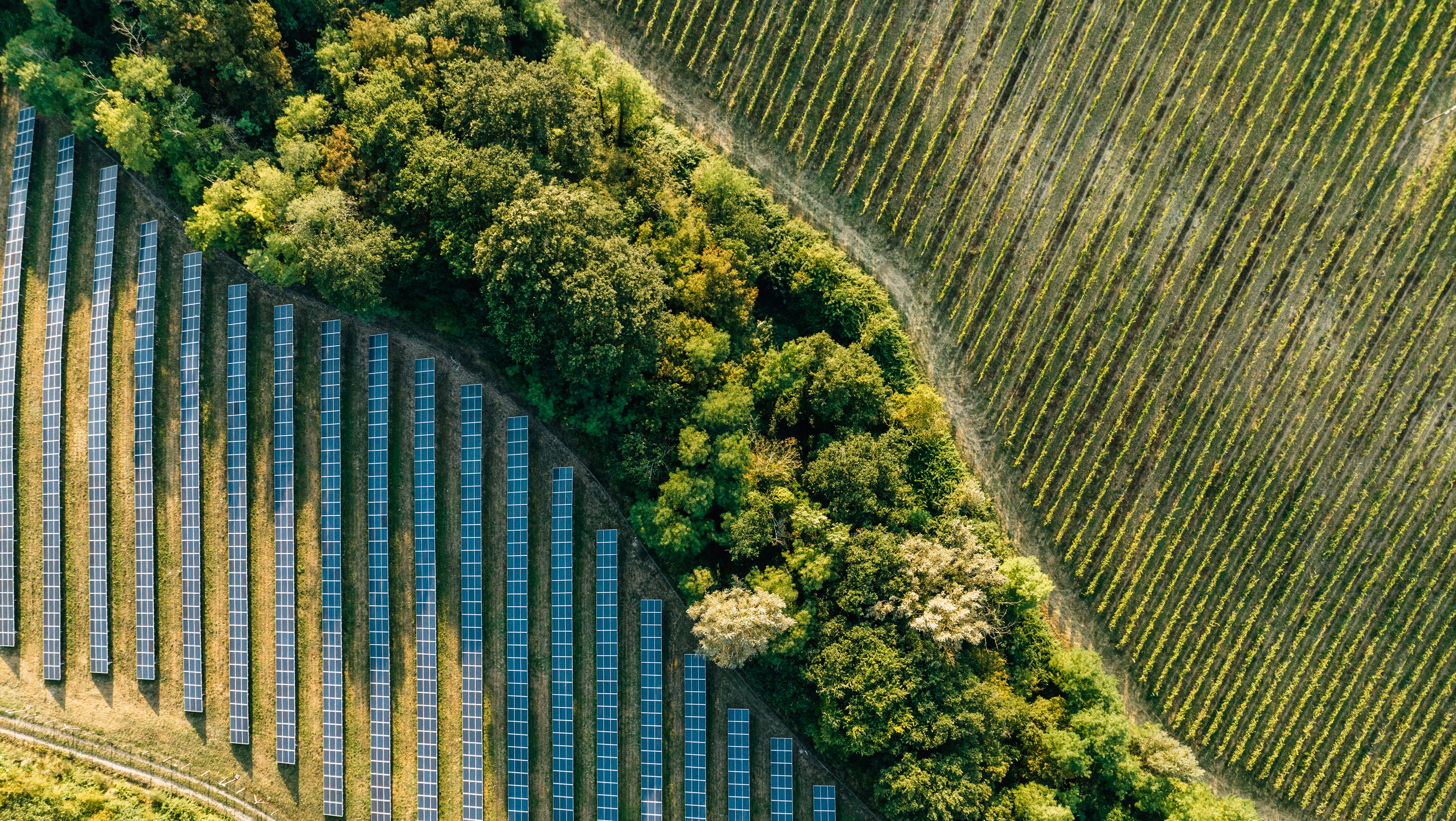 Aerial view of solar panels beside a green space