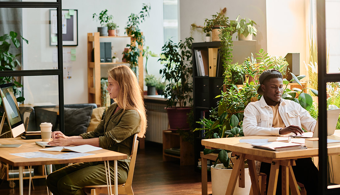 Two people sitting at their desks