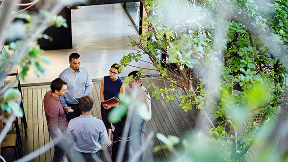 View from above of professionals meeting outside